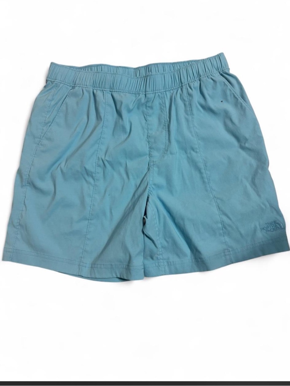 The North Face Men's Teal Shorts